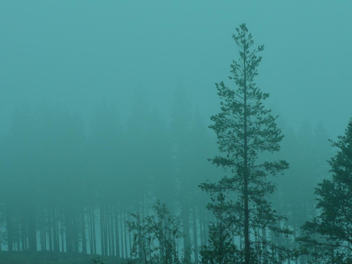 post-16372-0-75564000-1365807577_thumb.j