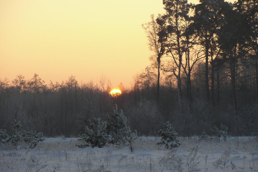 post-16372-0-76359500-1366063224_thumb.j