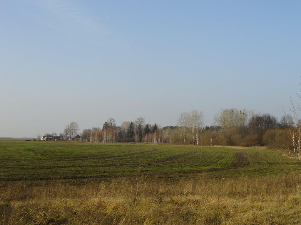 post-16372-0-76553800-1365809759_thumb.j