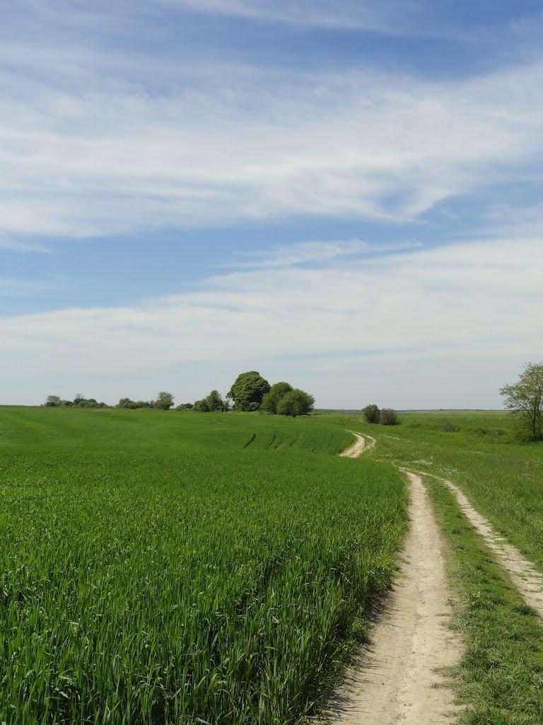 post-16372-0-76864200-1366061464_thumb.j