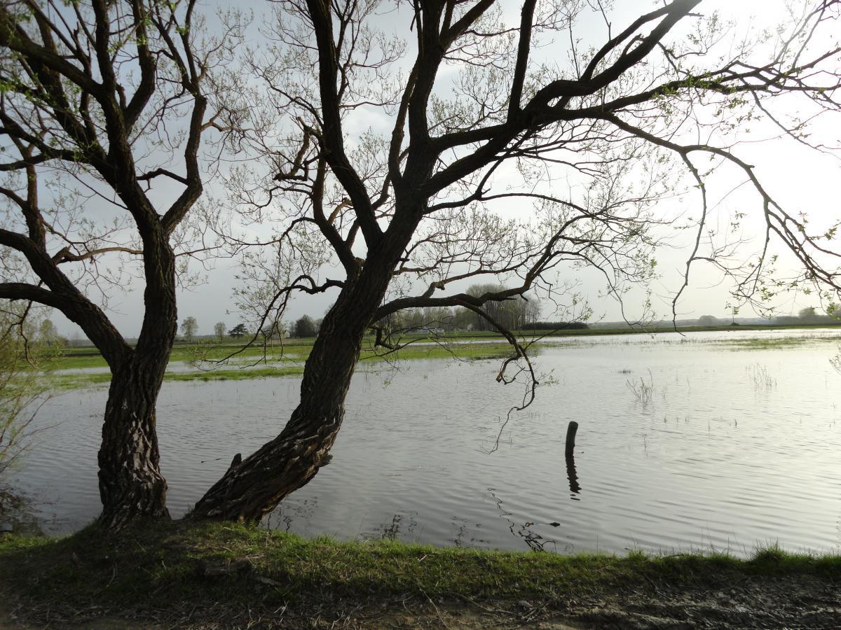 post-16372-0-77069800-1367184626_thumb.j