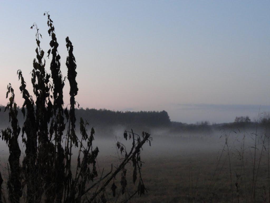 post-16372-0-77937300-1366063496_thumb.j