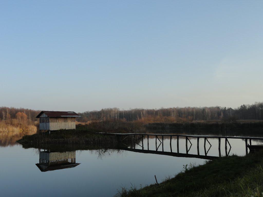 post-16372-0-78454100-1365809761_thumb.j