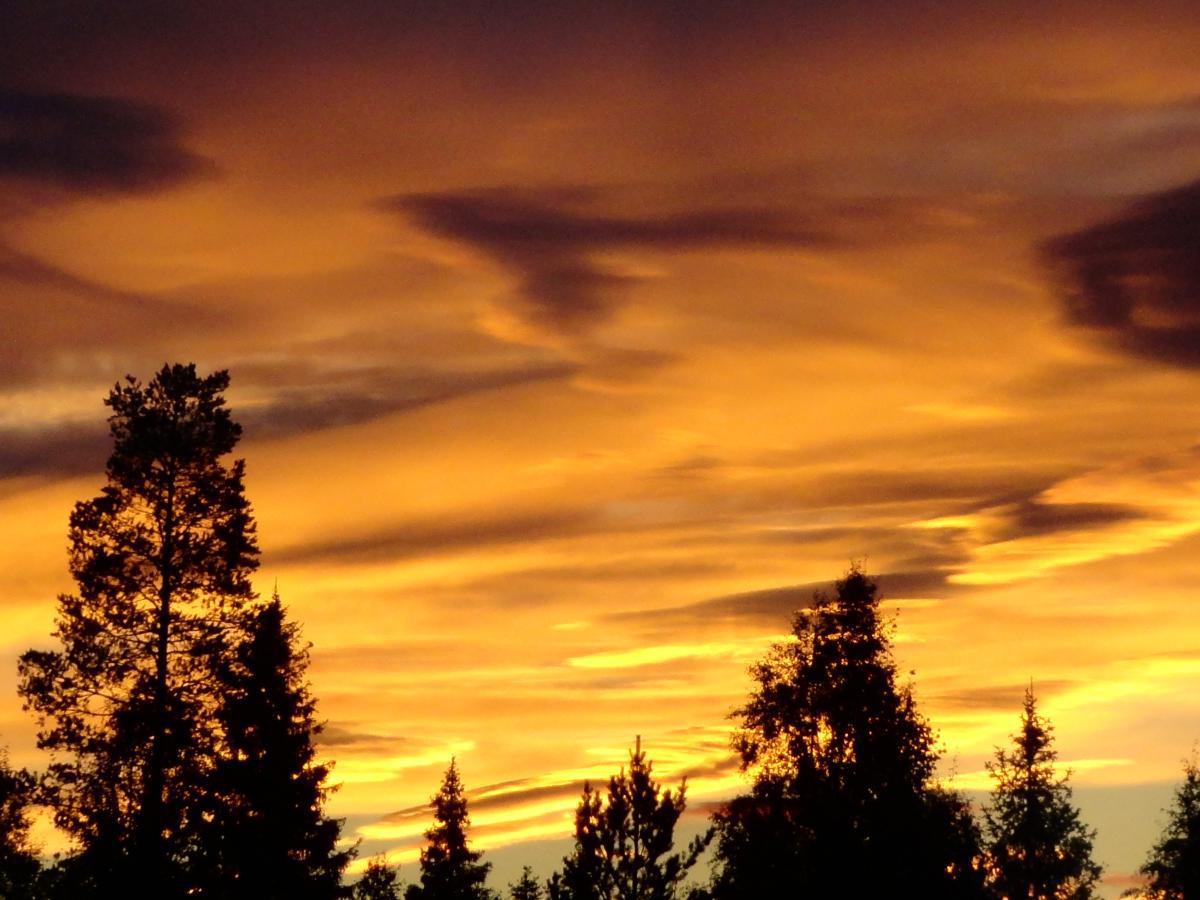 post-16372-0-79851900-1365807559_thumb.j