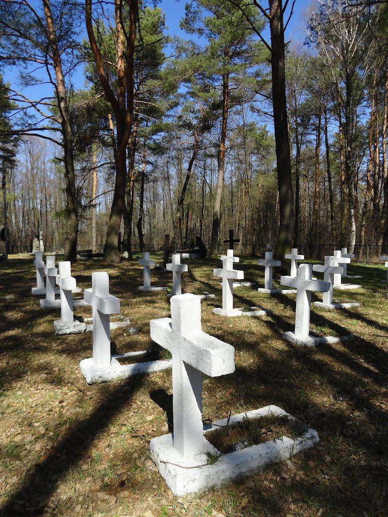 post-16372-0-80086200-1366061411_thumb.j