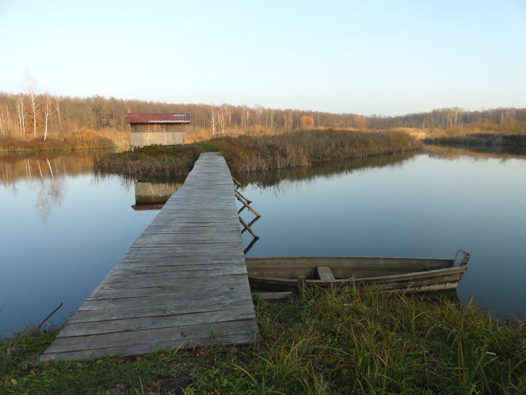 post-16372-0-81704900-1365809760_thumb.j