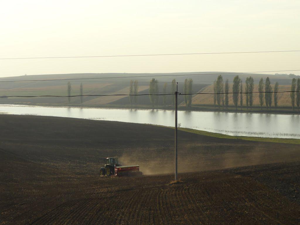 post-16372-0-82955000-1366063454_thumb.j