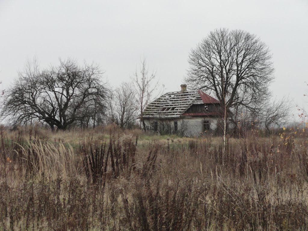 post-16372-0-84120300-1365809756_thumb.j