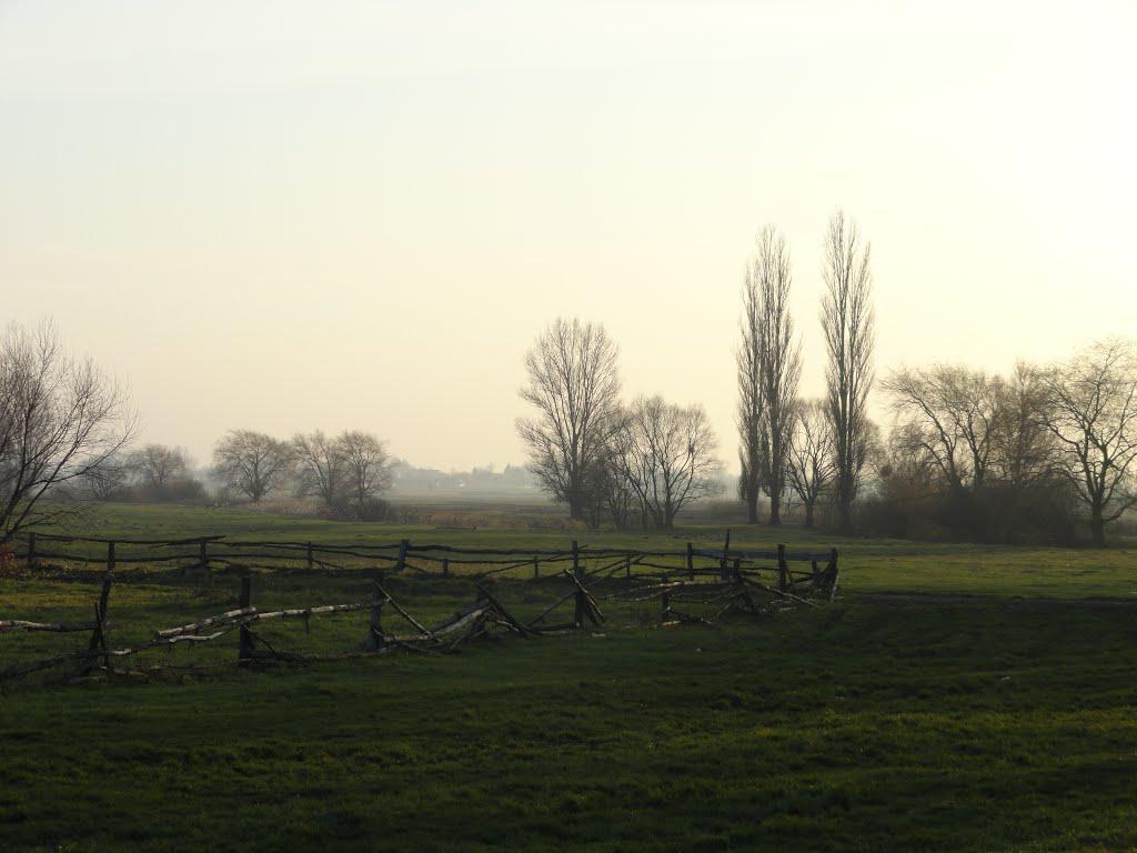 post-16372-0-84527200-1365809758_thumb.j