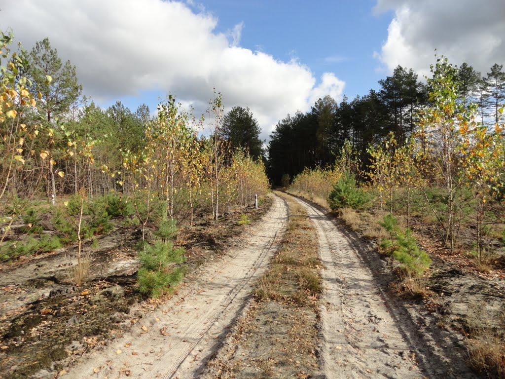 post-16372-0-86898000-1366063448_thumb.j