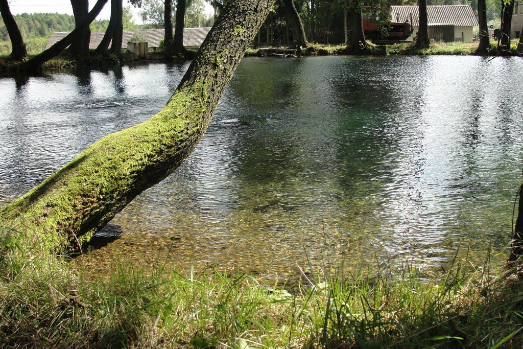 post-16372-0-88103800-1366063222_thumb.j