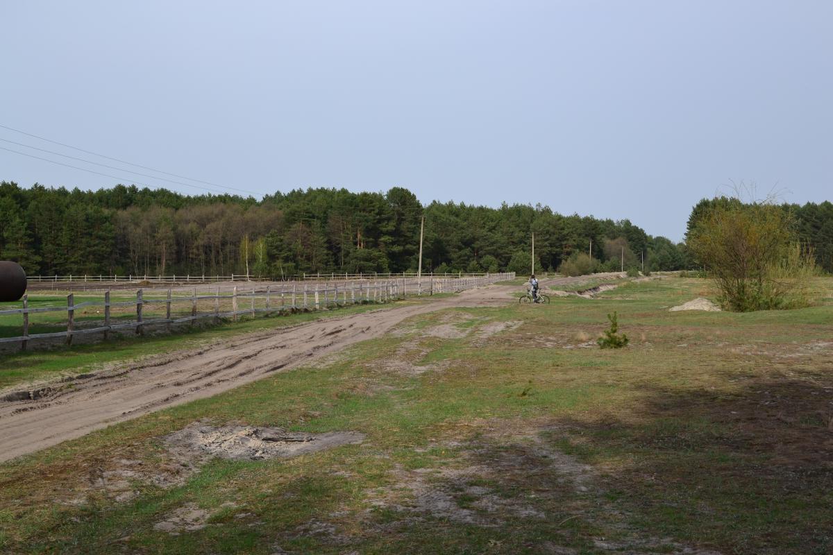 post-16372-0-91295400-1367320114_thumb.j