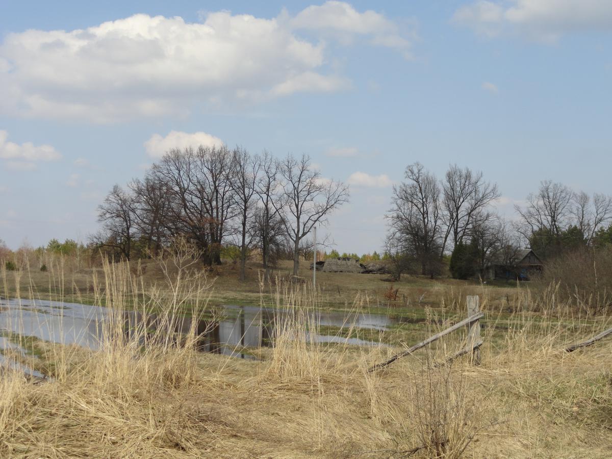 post-16372-0-93569200-1366197963_thumb.j