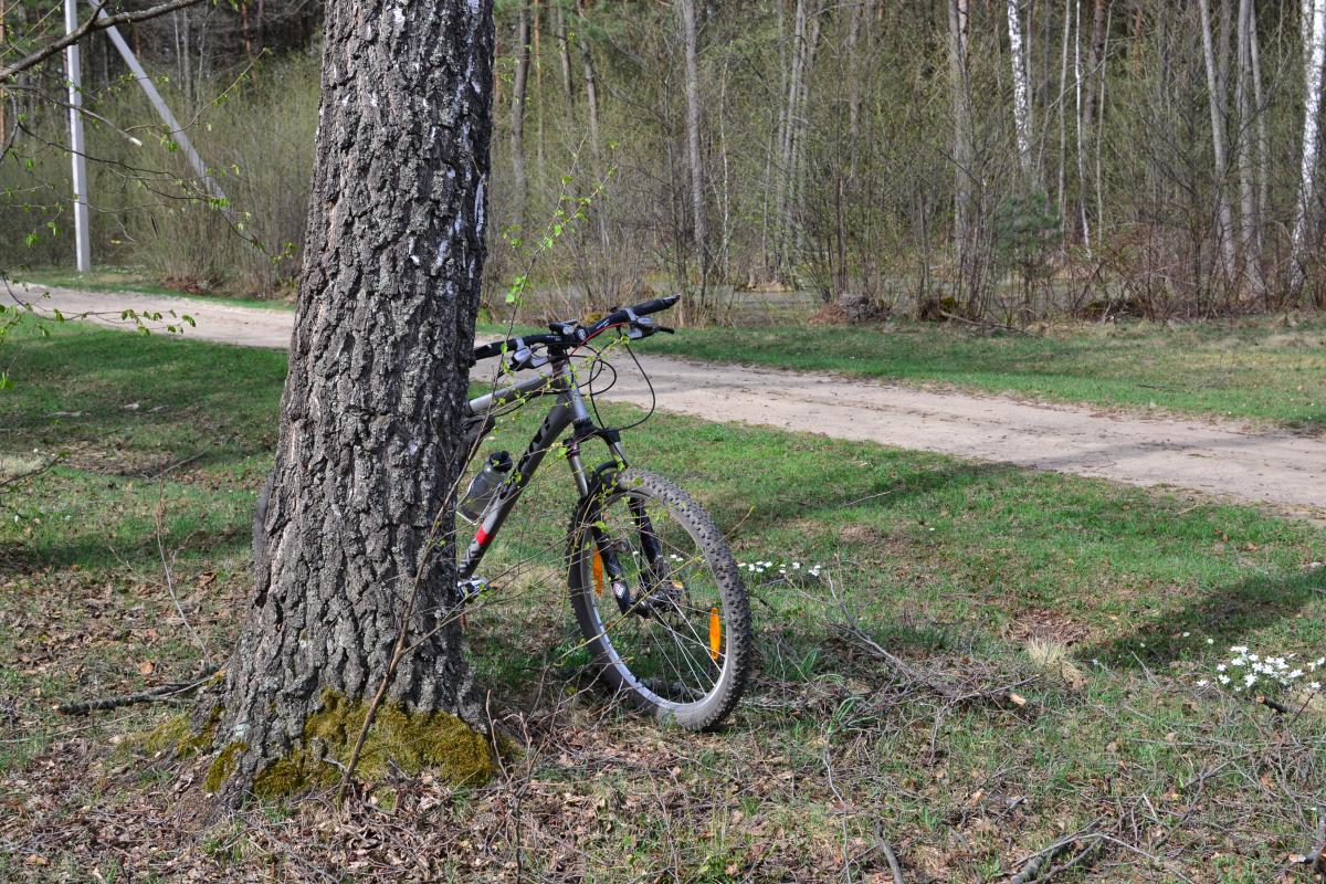 post-16372-0-94034700-1367319887_thumb.j