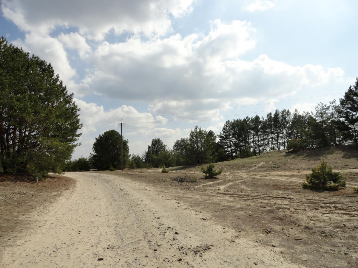 post-16372-0-95236100-1366198627_thumb.j