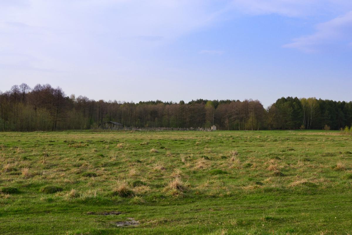 post-16372-0-95626500-1367320203_thumb.j