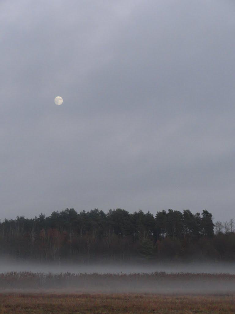 post-16372-0-96553500-1366063495_thumb.j