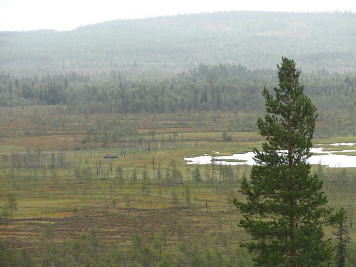 post-16372-0-97681600-1365807568_thumb.j