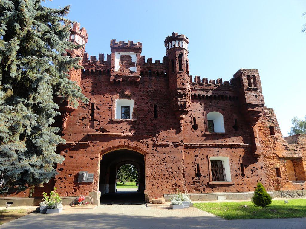 post-16372-0-99234100-1365810583_thumb.j