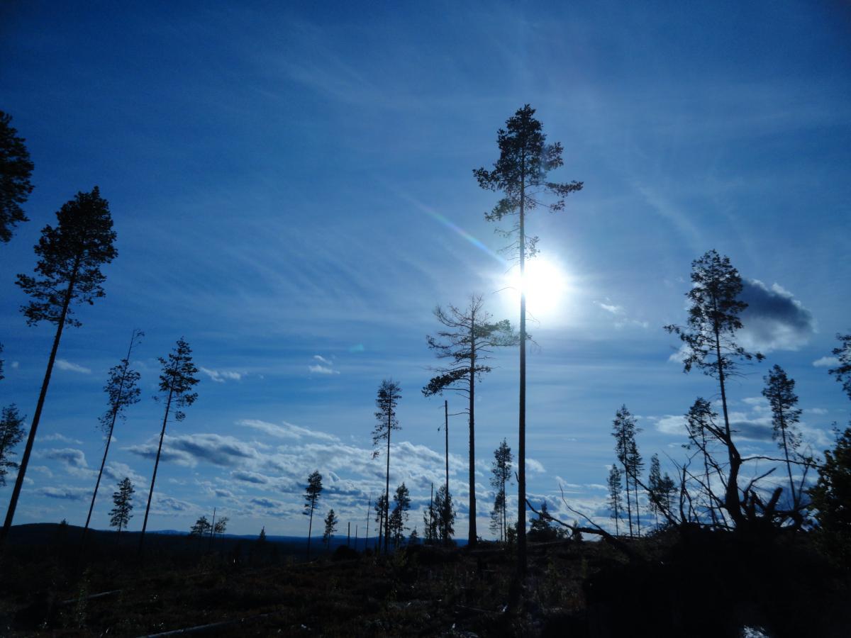 post-16372-0-99418700-1365807541_thumb.j