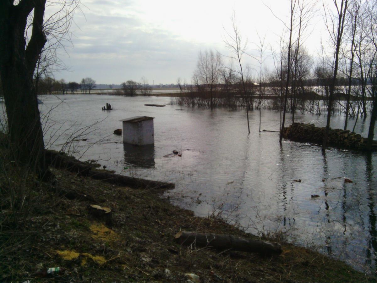 post-18237-0-30956600-1366099388_thumb.j