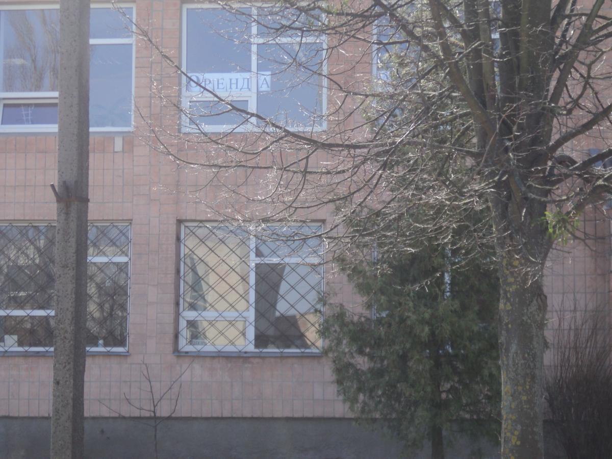 post-18931-0-68431700-1366700385_thumb.j