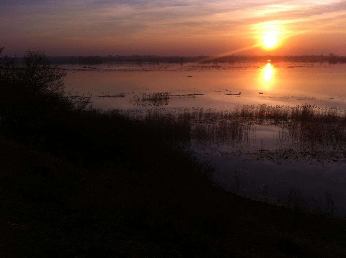 post-19141-0-78568100-1366376506_thumb.j