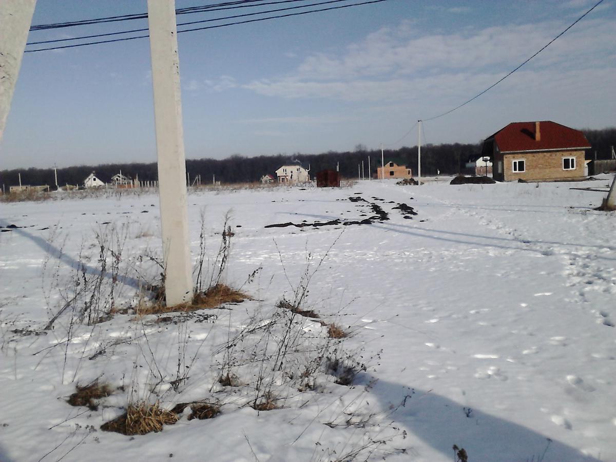 post-20297-0-13943000-1365597132_thumb.j