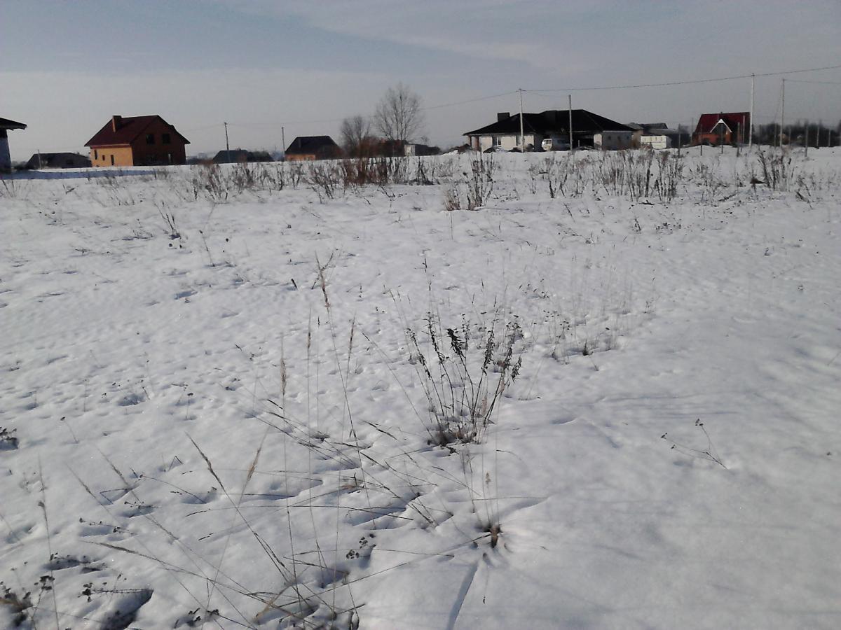 post-20297-0-88168600-1365597145_thumb.j