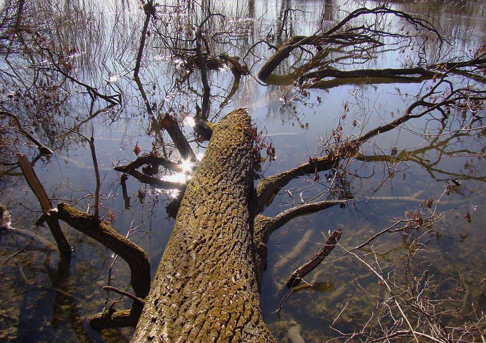 post-21429-0-01306900-1364971389_thumb.j