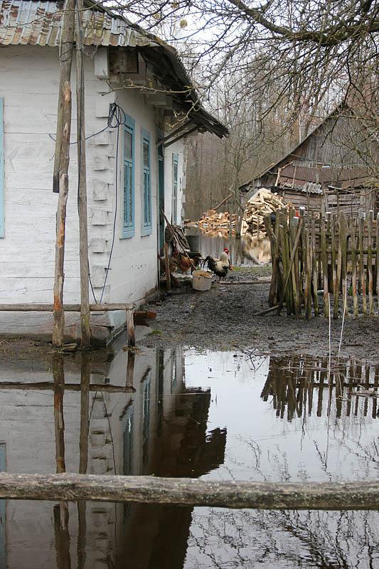 post-21429-0-01827000-1366106167_thumb.j