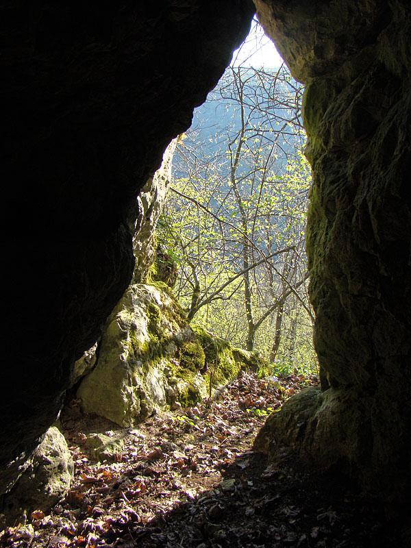 post-21429-0-02612800-1367142902_thumb.j