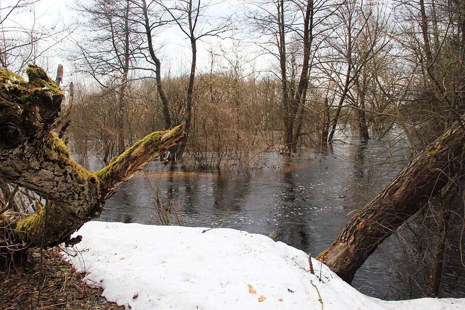 post-21429-0-02636600-1365782058_thumb.j