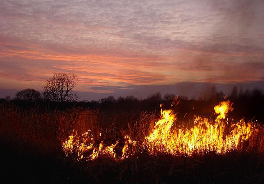 post-21429-0-02715700-1364906509_thumb.j