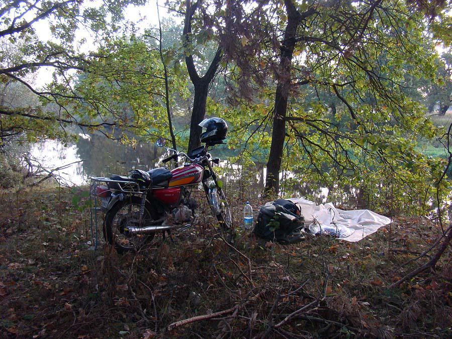 post-21429-0-03384700-1366303470_thumb.j