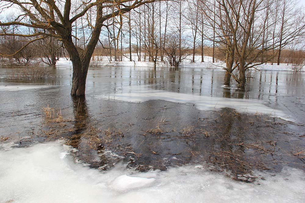 post-21429-0-04175200-1364901632_thumb.j