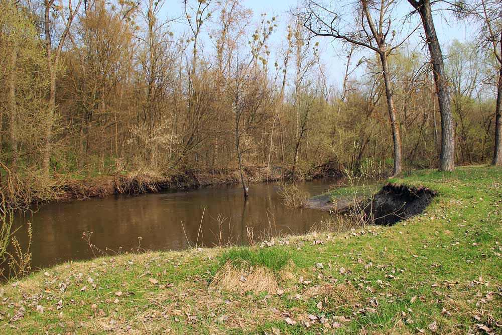 post-21429-0-04599100-1367142473_thumb.j