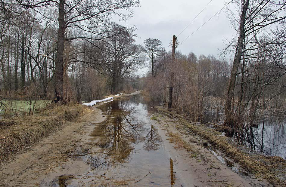 post-21429-0-05867900-1366054325_thumb.j