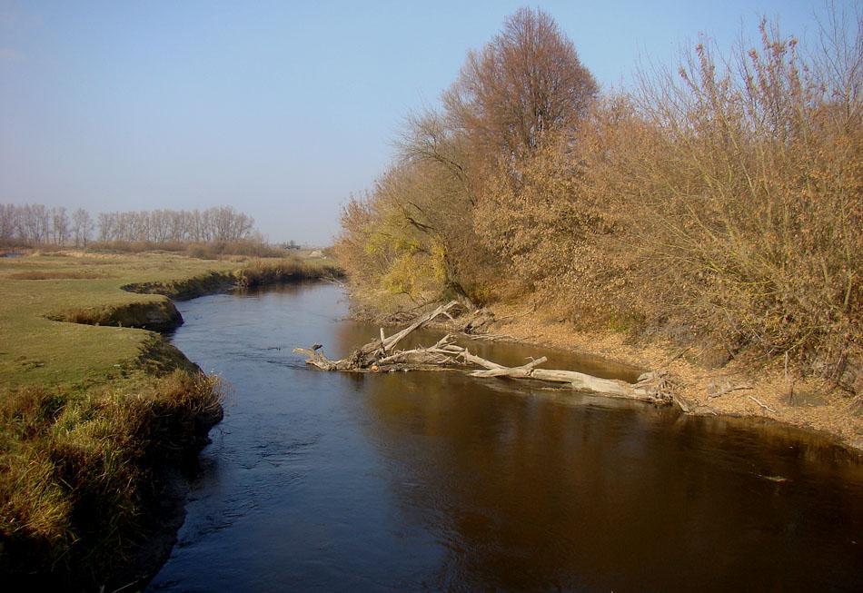 post-21429-0-06525900-1364900065_thumb.j