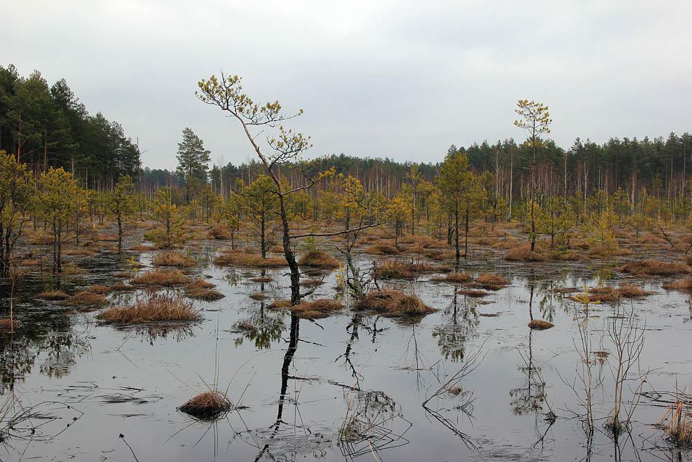 post-21429-0-07814300-1366020660_thumb.j