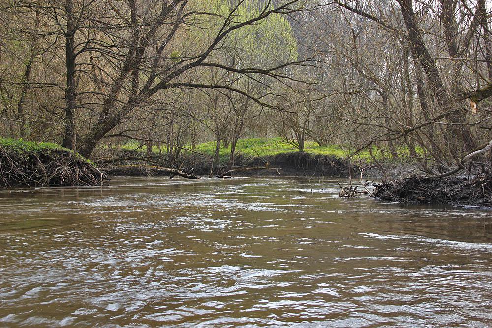 post-21429-0-08662200-1367142406_thumb.j