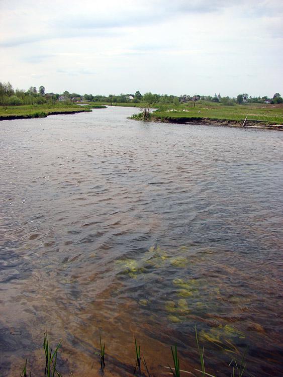 post-21429-0-09233100-1364985537_thumb.j