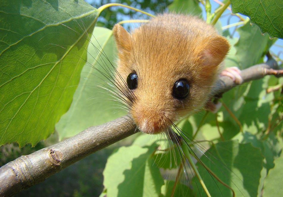 post-21429-0-09636800-1367171876_thumb.j