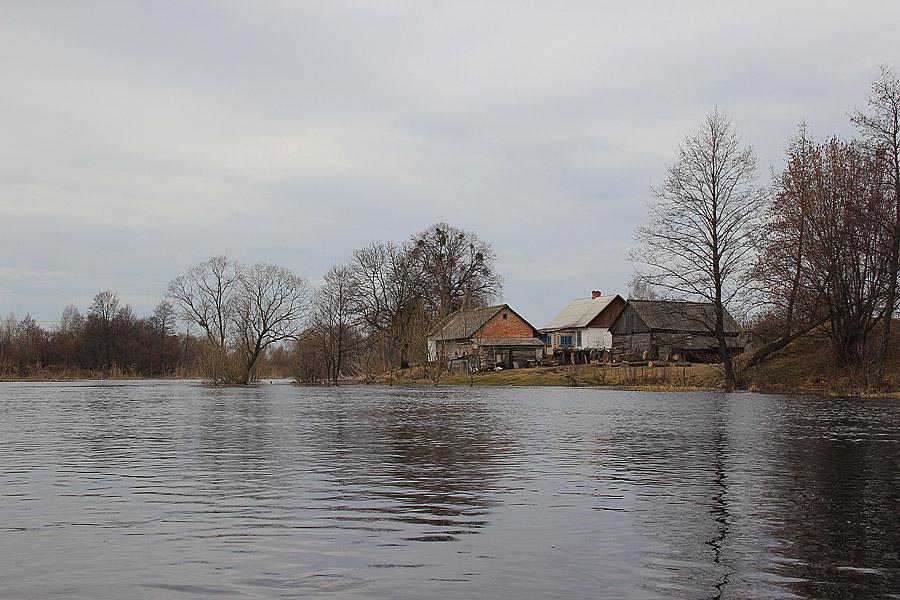 post-21429-0-10429000-1365782066_thumb.j