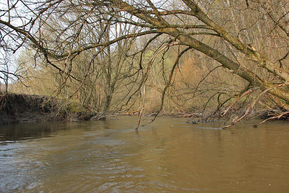 post-21429-0-11926700-1367142461_thumb.j