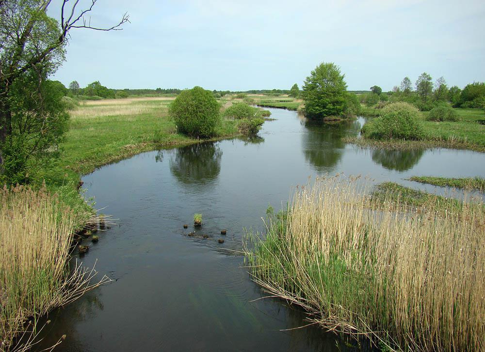 post-21429-0-13653000-1364985488_thumb.j