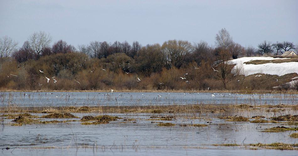 post-21429-0-16970000-1365592108_thumb.j