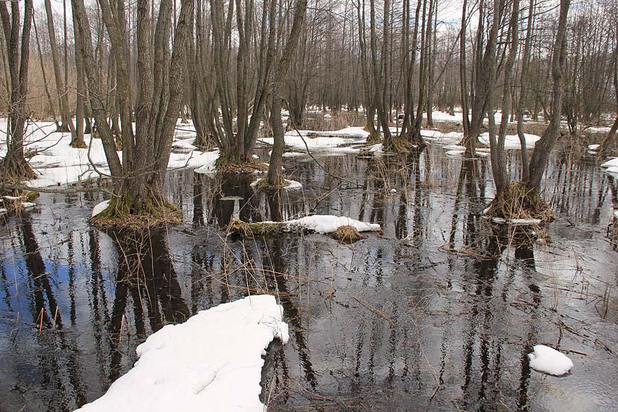 post-21429-0-18028200-1365443163_thumb.j