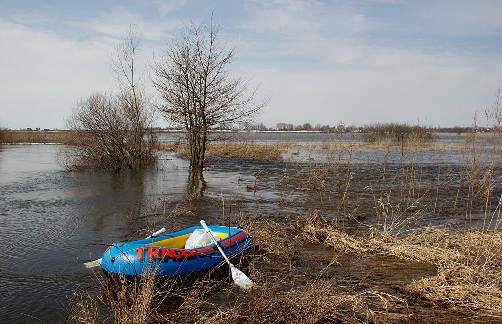 post-21429-0-20430500-1365592151_thumb.j