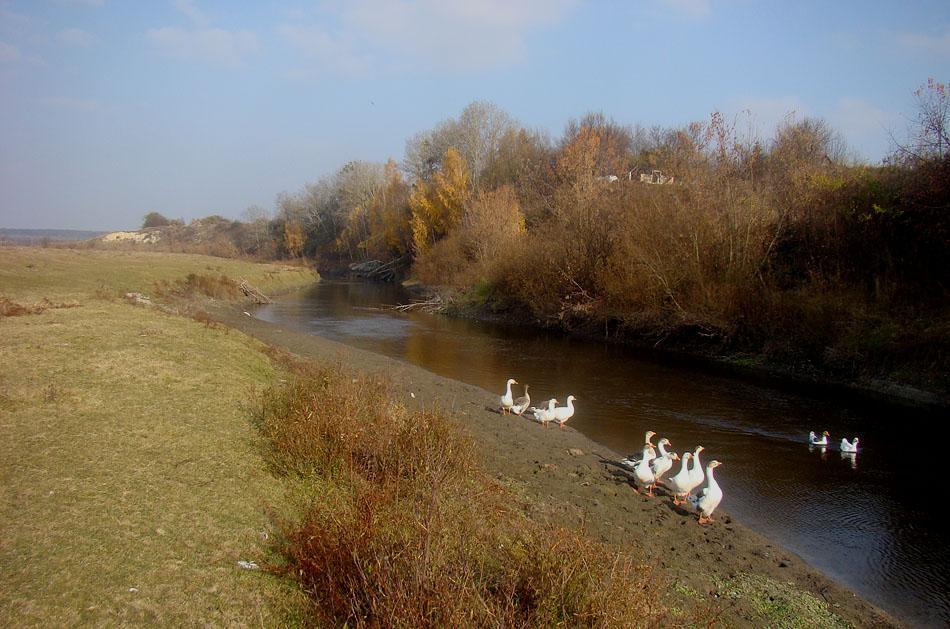 post-21429-0-22537000-1364900072_thumb.j